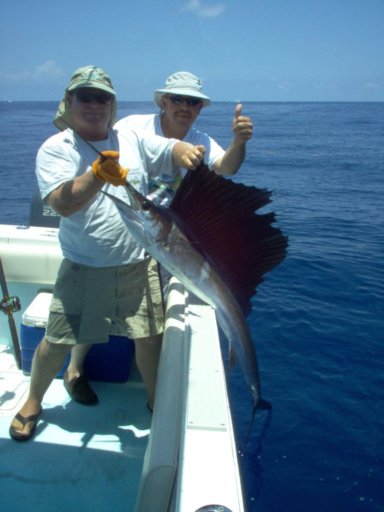 Florida Keys Sail Fish